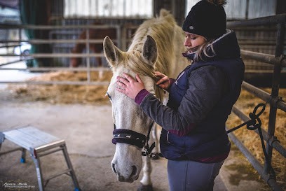 Florine Danjou Animaste - Naturopathe pour animaux, naturopathe animalier & photographe animalier Marne, Praticien de Médecine Alternative à Lachy