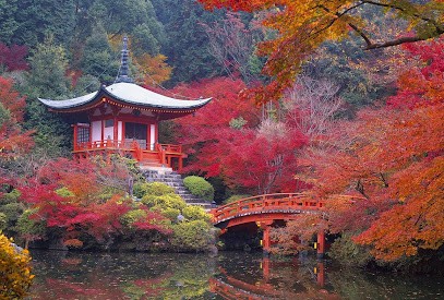 Shiatsu Rosans,Thierry Fricot, Praticien de Médecine Alternative à Rosans