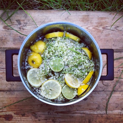 Thérapies Naturelles Et Energétiques MC Barrero, Praticien de Médecine Alternative à Hendaye