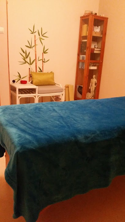 Nadège Tomachevsky, Praticien de Médecine Alternative à Plourivo