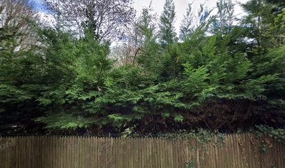 Sèverine Font, Praticien de Médecine Alternative à Neauphle-le-Vieux