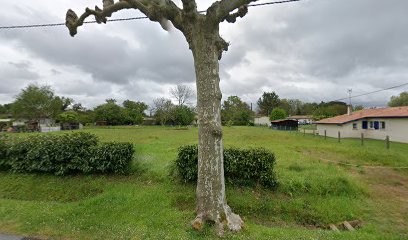 Françoise CHARASSE Géobiologue Et Domothérapeute (Gironde 33, Landes 40, Lot Et Garonne 47), Praticien de Médecine Alternative à Lerm-et-Musset