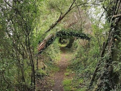 Jérôme QUINTARD, Praticien de Médecine Alternative à Saint-Étienne
