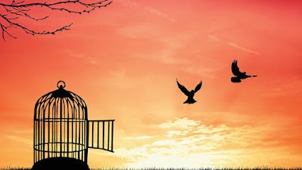 Dominique Bruvel - Sophrologue, Praticien de Médecine Alternative à Istres