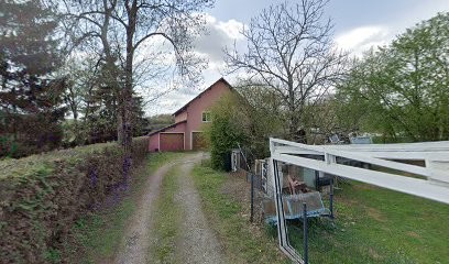 Roche Nadine, Praticien de Médecine Alternative à Argiésans