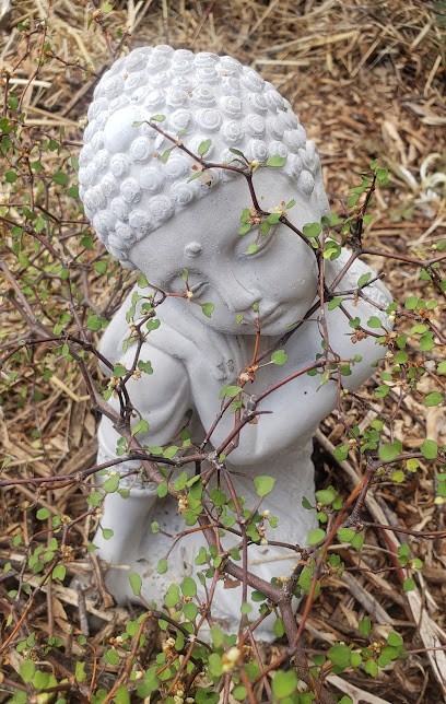 C'Koiçabéa Géobiologie, Feng shui et soins énergétique, Praticien de Médecine Alternative à Beaupréau-en-Mauges