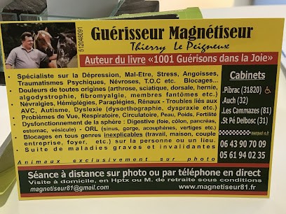 Thierry lepeigneux Magnétiseur Tarn - Revel, Praticien de Médecine Alternative à Revel