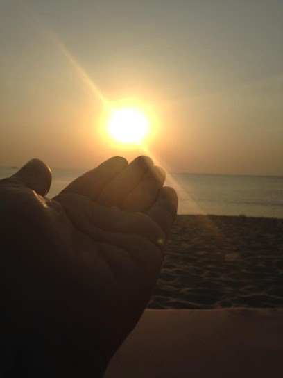 Suard Sandrine, Praticien de Médecine Alternative à Noisy-le-Grand