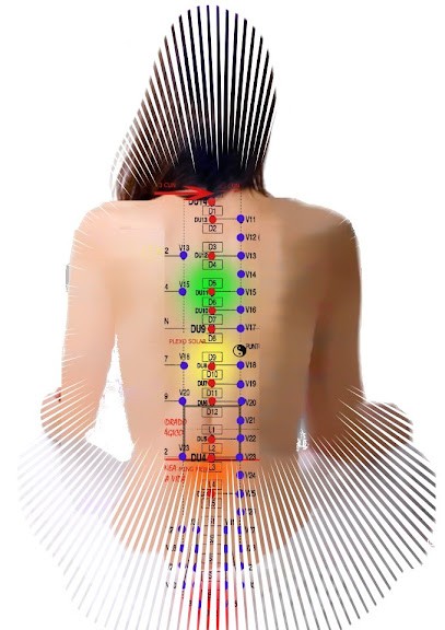 Reflex-Shen Elizabeth Ferrero, Praticien de Médecine Alternative à Landéda