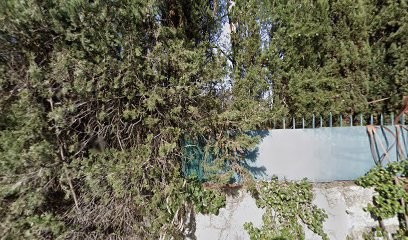 Marylin Rogano, Praticien de Médecine Alternative à Mouans-Sartoux