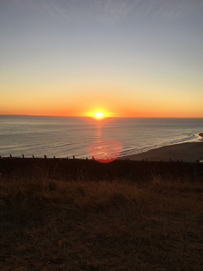 FLORAISON ET MAGNETISME, Praticien de Médecine Alternative à Fonsorbes