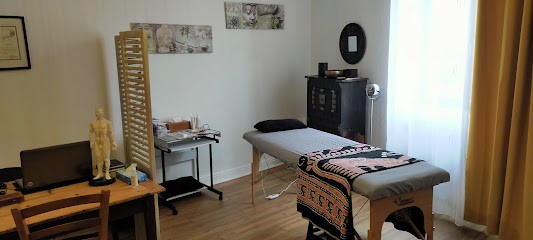 Chenevey Stéphane, Méthode traditionnelle chinoise Zhangkai, Praticien de Médecine Alternative à Saint-Amour