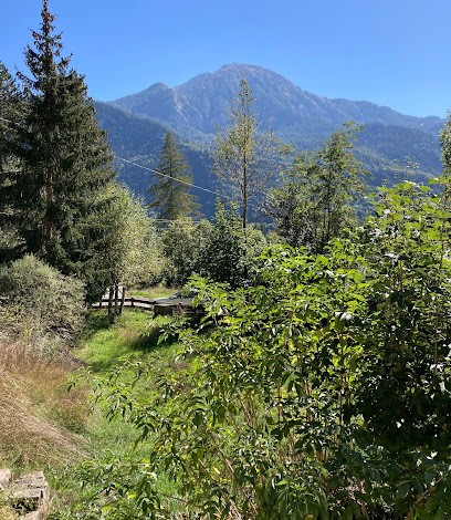 Anne ROLLAND - Energétique Traditionelle Chinoise, Praticien de Médecine Alternative à Saint-Jean-Saint-Nicolas