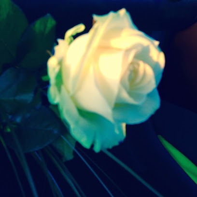 Emilie Moreau - SHIATSU Art De Santé, Praticien de Médecine Alternative à Vendôme