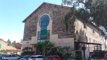 Lydia Marie Diététique Naturopathie & Massages Mandelieu, Praticien de Médecine Alternative à Mandelieu-la-Napoule