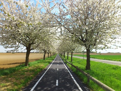Christophe FOURNIER, Hypnothérapeute à Château-d'Olonne