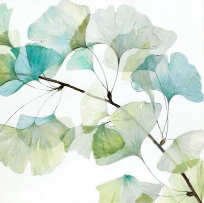 Muriel Gilabert, Praticien de Médecine Alternative à Villeneuve-d'Olmes