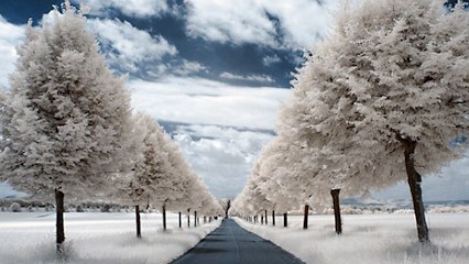 Rammault Sylvie Louise, Hypnothérapeute à Nexon