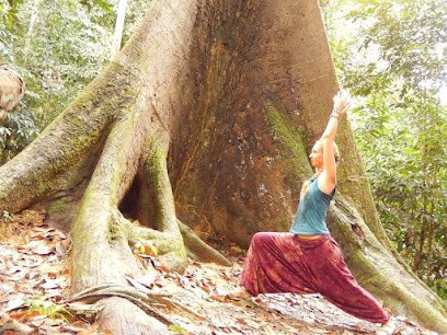 Virginia Dubois -Prana Yoga / Naturopathe - Réflexologue À Domicile Ou The Cabinet À Saint Maurice En Gourgois, Praticien de Médecine Alternative à Monistrol-sur-Loire