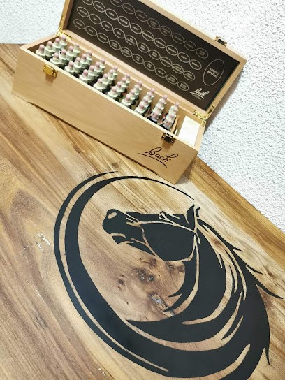 Magnétiseur / Energéticienne Holistique Marine Guiraud, Praticien de Médecine Alternative à Saiguède