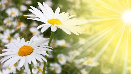 Fenot Marjorie, Réflexologue à Thionville