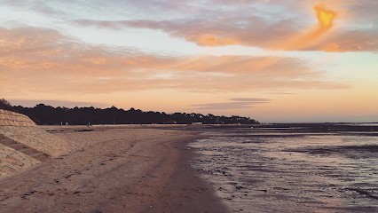 Génain Nicolas Magnétiseur, Praticien de Médecine Alternative à Tonneins