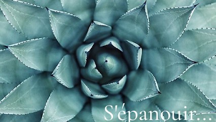 Marjorie Prouhet Psychothérapie, Hypnothérapeute à Croix