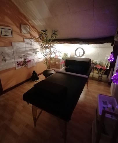 Sandrine Calderan Réflexologue énergéticienne, praticienne M5C, Réflexologue à Blennes