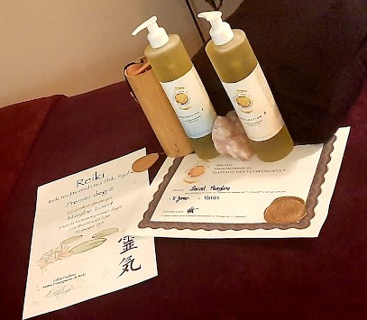 l'odyssée du corps kinesiologie massage, Praticien de Médecine Alternative à Saint-Priest-sous-Aixe