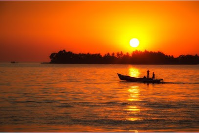 Roldur Guérisseur Magnétiseur, Praticien de Médecine Alternative à Moulès-et-Baucels