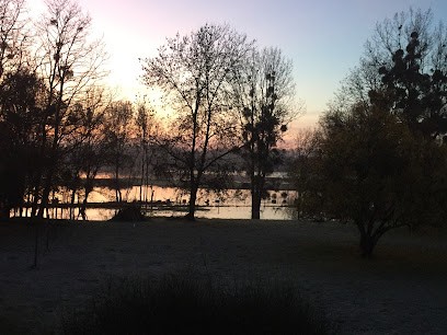 POUPELIN Audrey Hypnose, Hypnothérapeute à Briollay