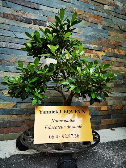 Yannick Lequeux Naturopathe, Praticien de Médecine Alternative à Estissac