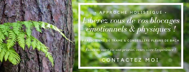 Hypnose 95 - Amélie LEBREQUIER - Praticienne en Hypnose Ericksonienne - Soin holistique : La Trame ® & Fleurs de Bach, Hypnothérapeute à Beauchamp