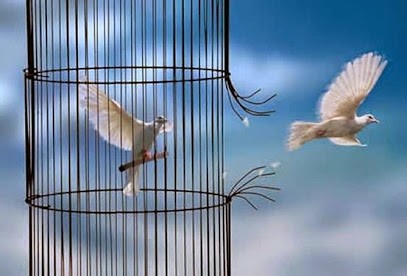 Stop tabac 44 - Arreter de fumer Hypnose Nantes, Nort-sur-Erdre, Chateaubriant, Nozay, Hypnothérapeute à Abbaretz