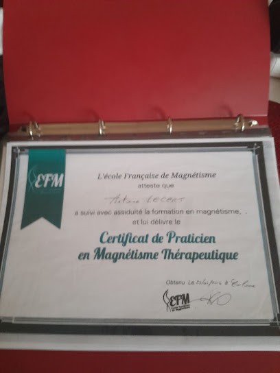 Antoine Lecert - Magnétiseur Et Praticien En Hypnose, Praticien de Médecine Alternative à Val de Virvée