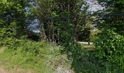 MagNifisens, Praticien de Médecine Alternative à Vue