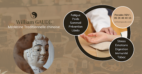 William Gaude, Médecine Traditionnelle Chinoise, Praticien De Médecine Alternative à Antibes
