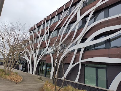 Stéphanie DUMONT GINFRAY Sophrologue : Acouphènes, Hyperacousie, Vertiges, Douleurs Chroniques, Ateliers Pour Enfants, Praticien de Médecine Alternative à Val-de-Reuil