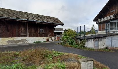 MONSIEUR GUILLAUME BOTTOLLIER CURTET, Hypnothérapeute à Domancy