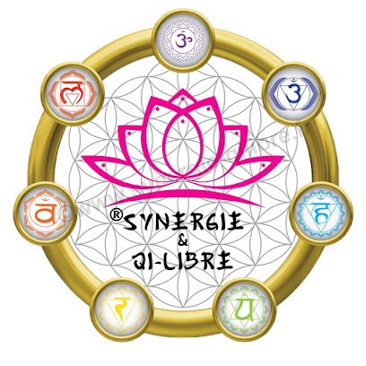 Synergie & Qi-Libre, Praticien de Médecine Alternative à Charny Orée de Puisaye
