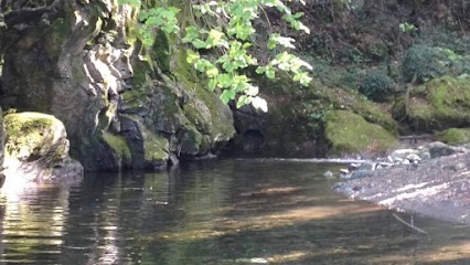 Sylvie Morelli, Hypnothérapeute à Bastia