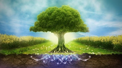 RACINESOLIDE, Hypnothérapeute à Mandelieu-la-Napoule