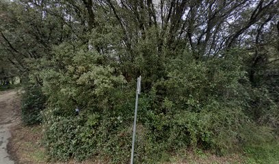 Chantal Saint-Pierre Martigny, Esthétique Dr. Hauschka, Naturopathie, Praticien de Médecine Alternative à Saint-Privat-des-Vieux