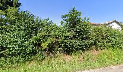 Cabinet Thierry ROUSSEAU, Praticien de Médecine Alternative à Château-Garnier