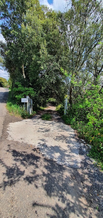 David Bailey - Biophoton et musico thérapie, Praticien de Médecine Alternative à Rennes-le-Château