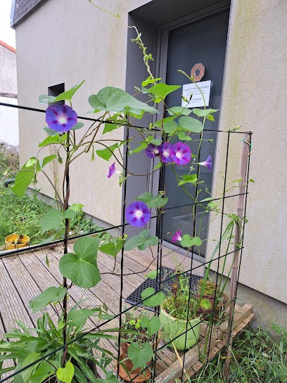 Cabinet de massages énergétiques, médecine chinoise, et moxibustion japonaise, Lucie Labreuille, Praticien de Médecine Alternative à La Montagne