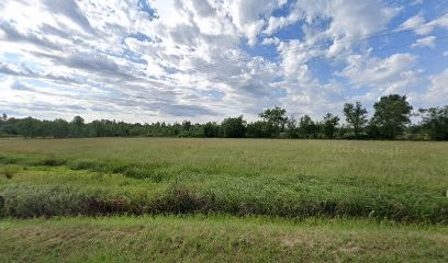 E- QI - LIBRE, Réflexologue à Arveyres