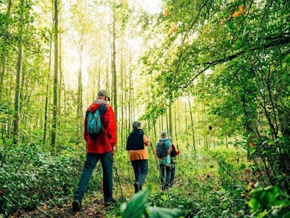 Sophrologue Cherbourg - Hervé Fouquet -, Praticien de Médecine Alternative à Cherbourg-en-Cotentin