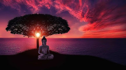 Frédéric Penot, Praticien de Médecine Alternative à Cluny