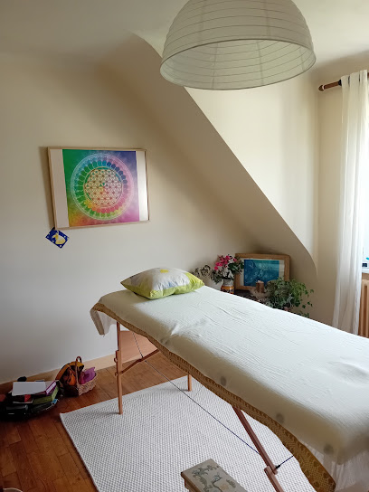 Claudia Ravisse Psycho Énergéticienne Kinesiologue Professeur De Yoga, Praticien De Médecine Alternative à Quimper